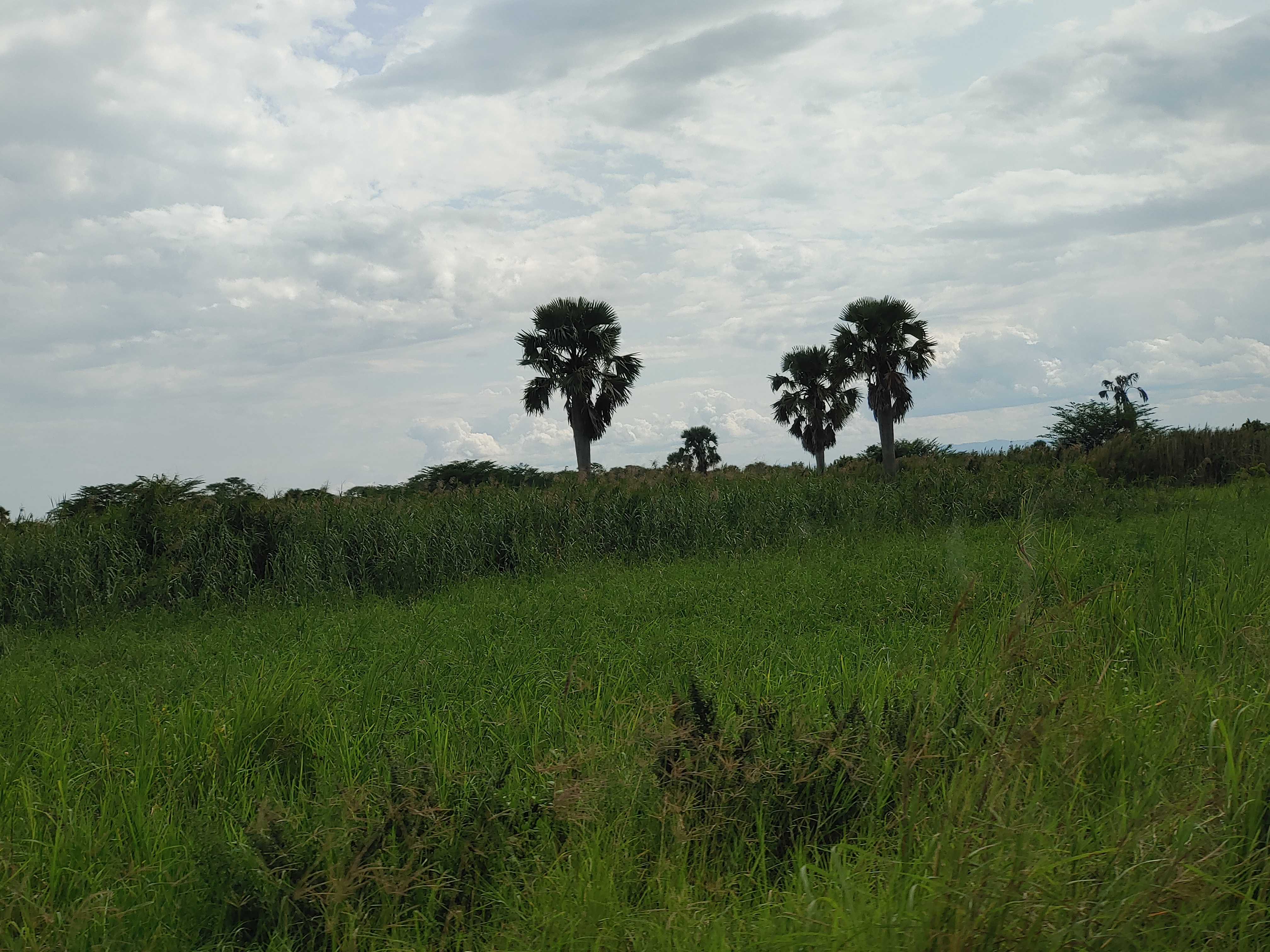 Gender- and conflict-sensitive Project Evaluation